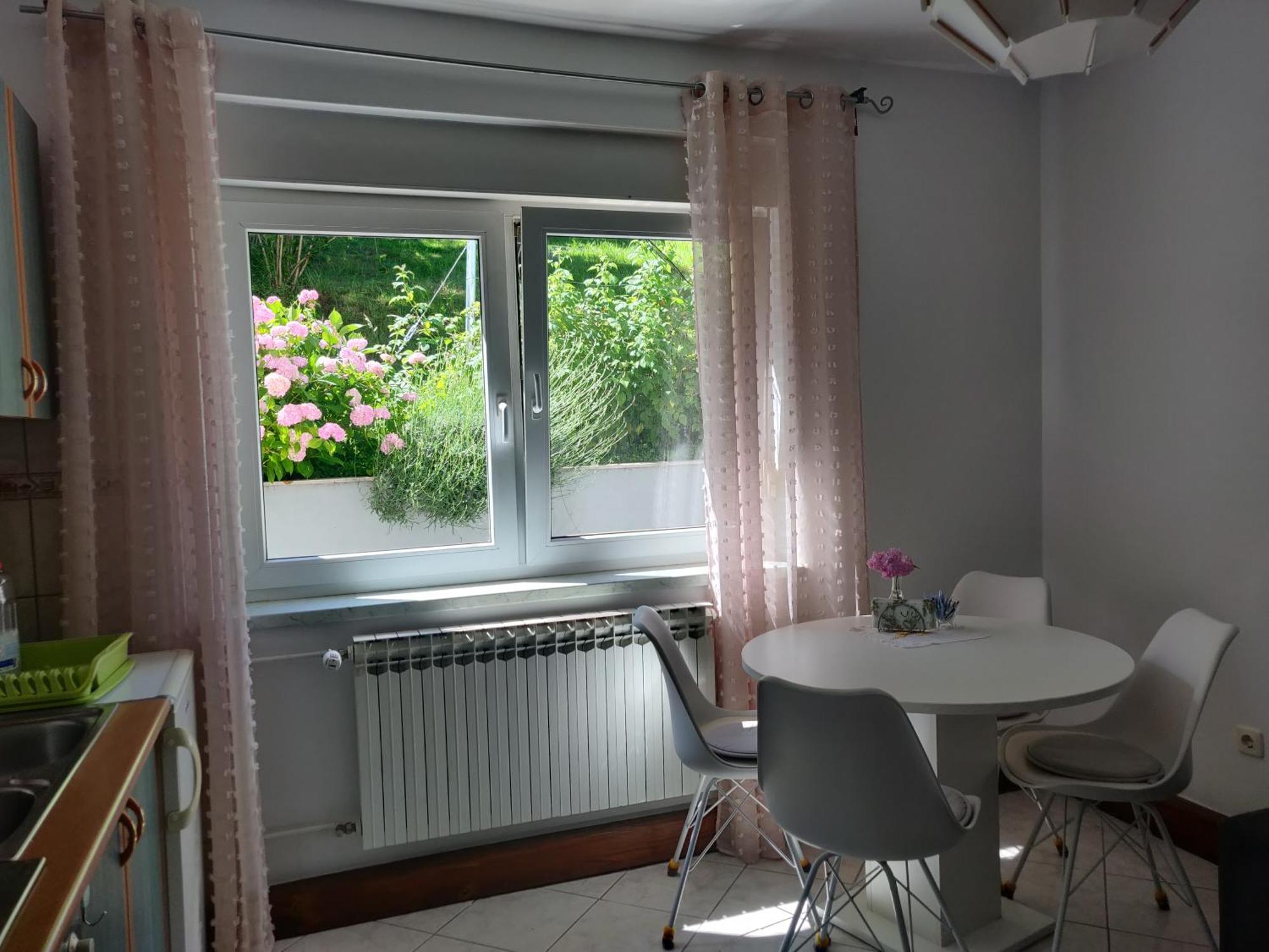 Apartman Malina 카를로바츠 객실 사진