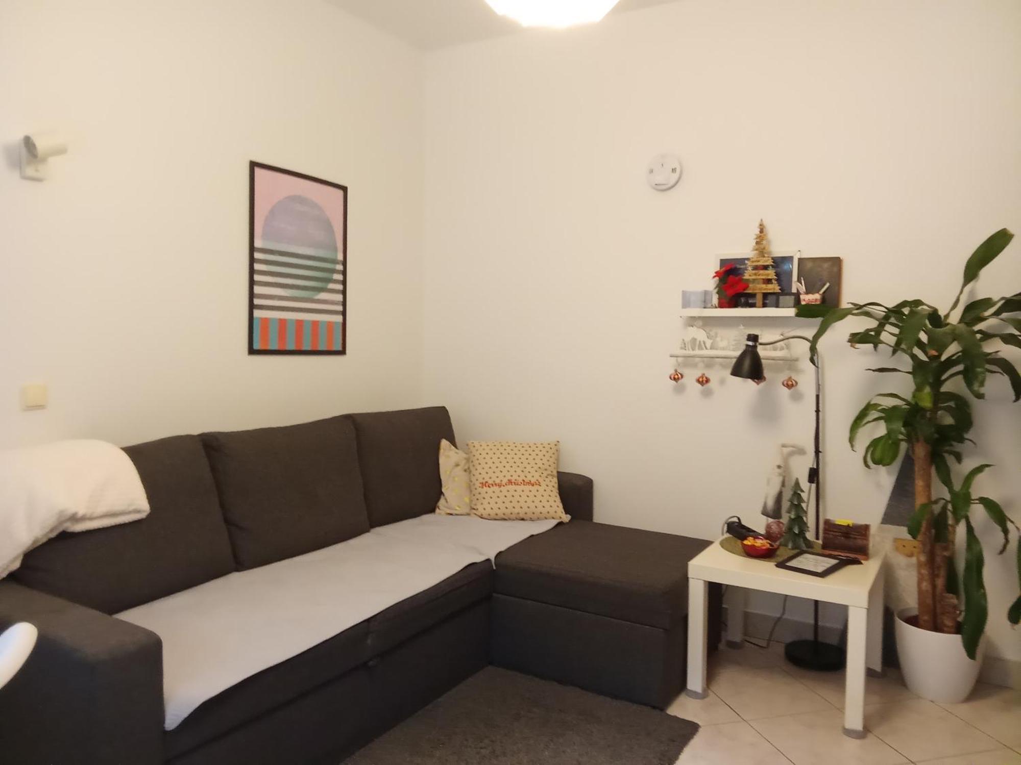 Apartman Malina 카를로바츠 외부 사진