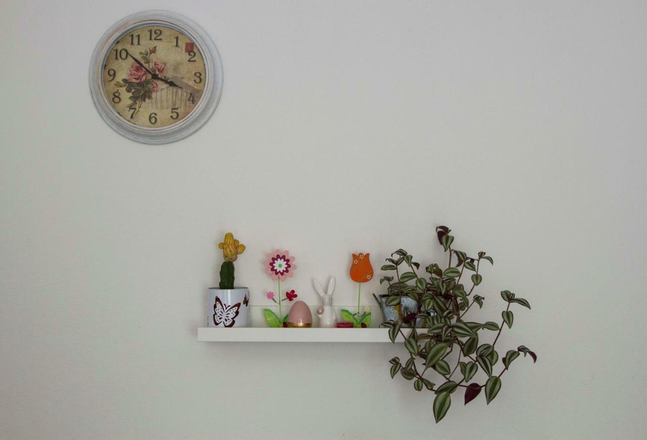 Apartman Malina 카를로바츠 외부 사진